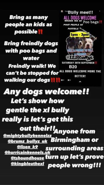To think this just sums up XL Bully owners?