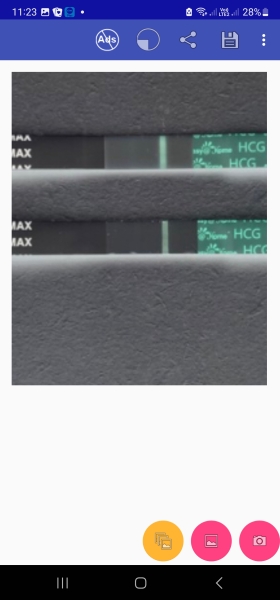 10dpo test line