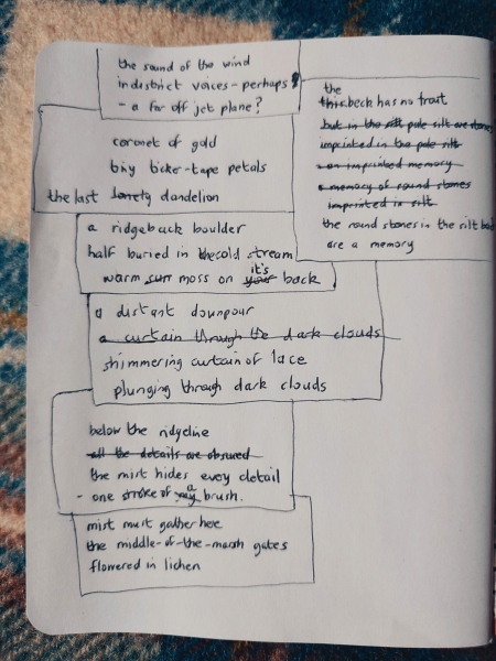 The joy of a new notebook