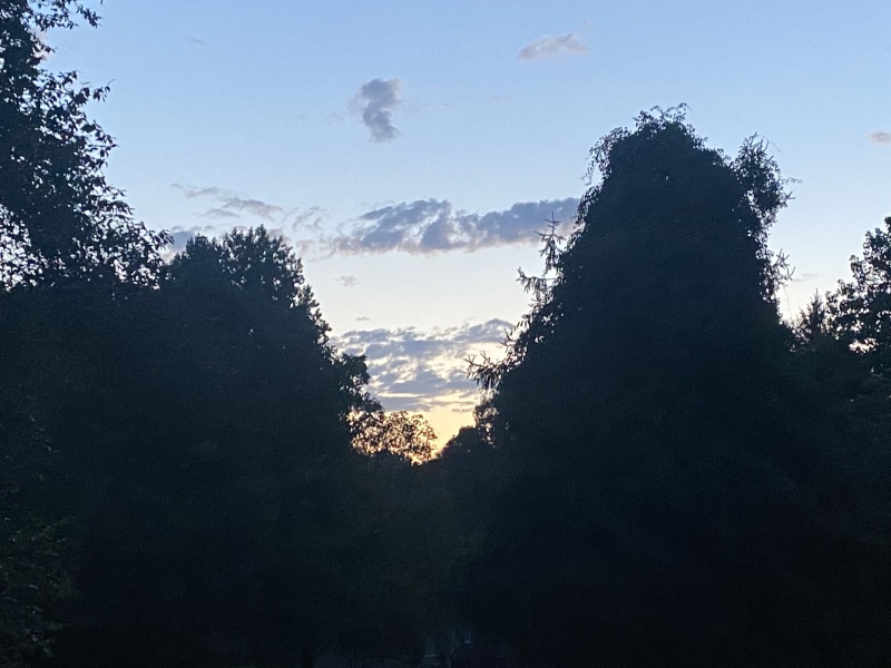 Come and tell me your dull and unexciting news 26: Calmly through the day 