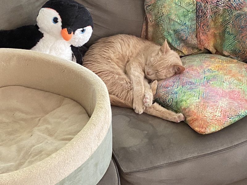 Come and tell me your dull and unexciting news 26: Calmly through the day 