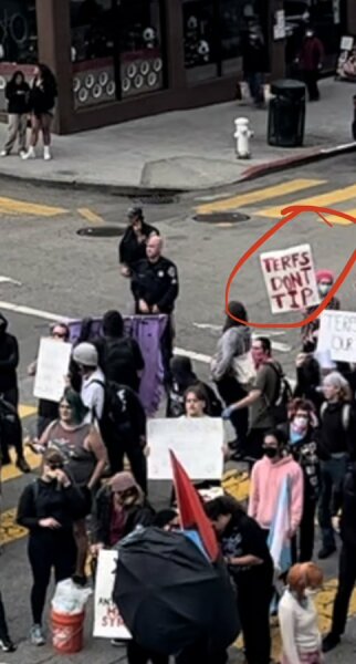 Meghan Murphy Event Protested and Attacked in San Francisco