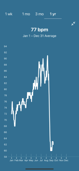 Fitness tracker stats pregnancy 