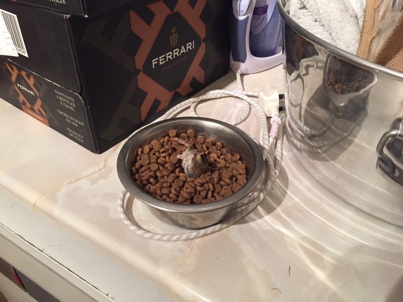 Thread 9 - TalkLair: “Russell's teapot goes on being round”