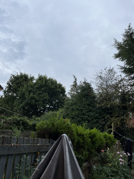 Where are my thunderstorm people?