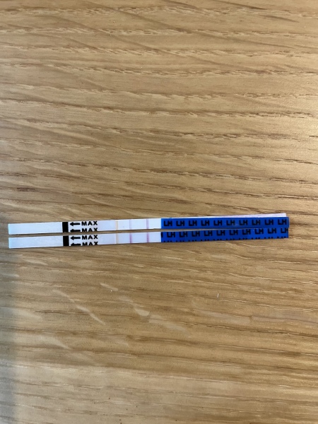 Is this a positive ovulation test?
