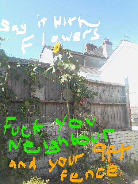 Neighbours's fence or ours?