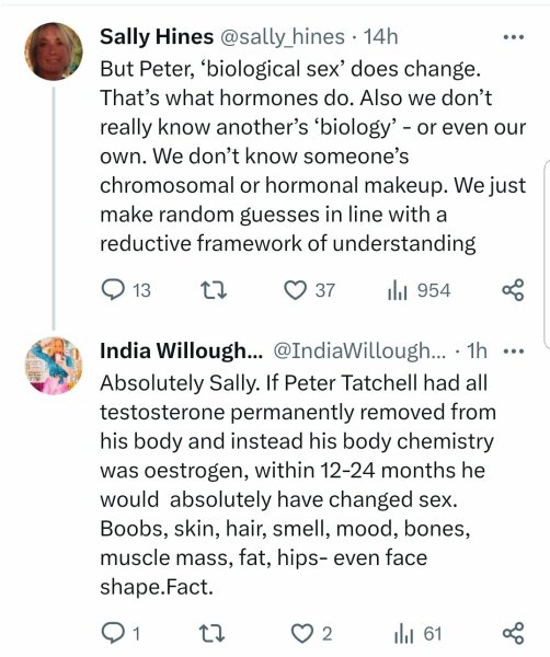 Sex & gender in 2023