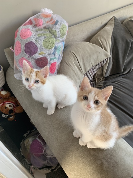 What to call 2 girls