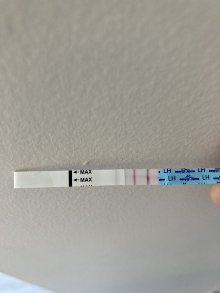 Positive OPK?