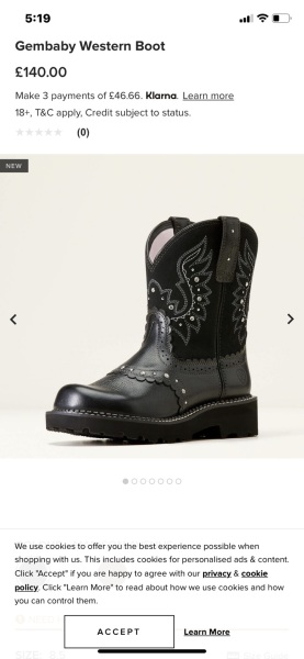Has anyone seen a less spendy dupe of these boots please.