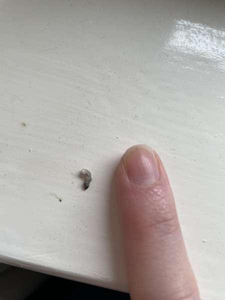 What or who does this poo? Belong to?