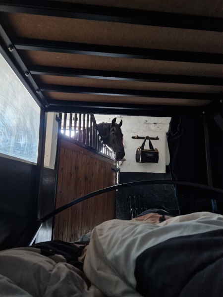 Help me compile a list of 50 things to do before I turn 50!