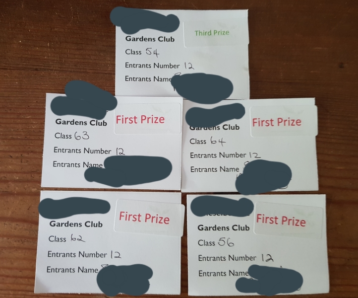 Village food competition