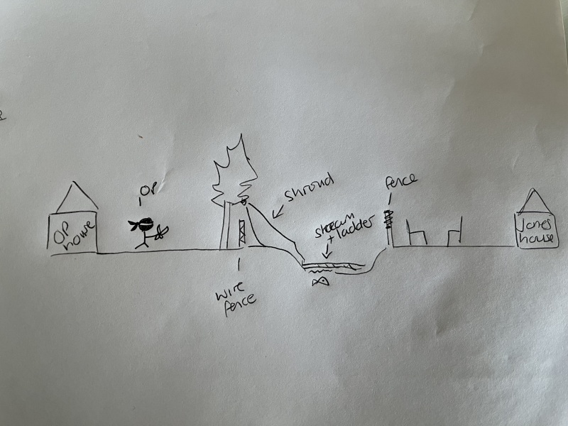 Neighbours Indiana Jones-ing their way into our garden