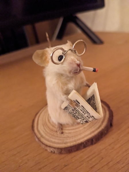 Most random but ultimately brilliant present you've ever been given...