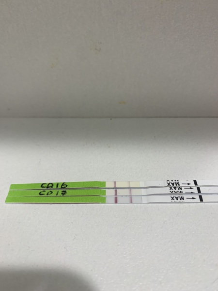 Tracking ovulation