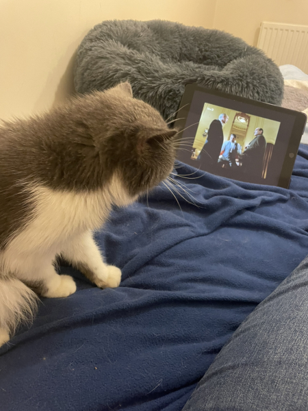 Potential new inmate at Toddler Towers.