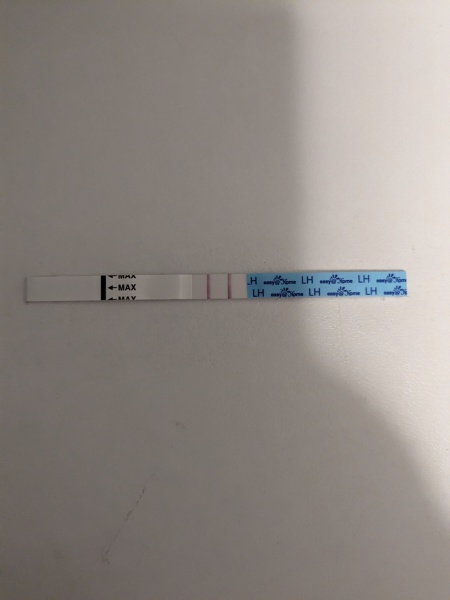 Easy@Home LH - is this positive?