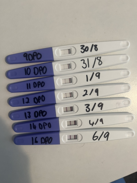 Early pregnancy symptoms