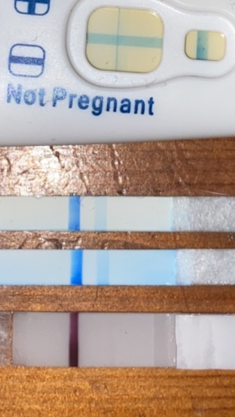 blue positive pink negative