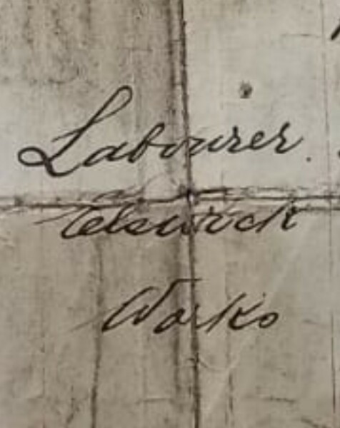 Is anybody any good at reading the handwriting on old death certificates? What does this say?