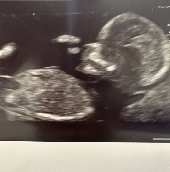 March 2024 continued!