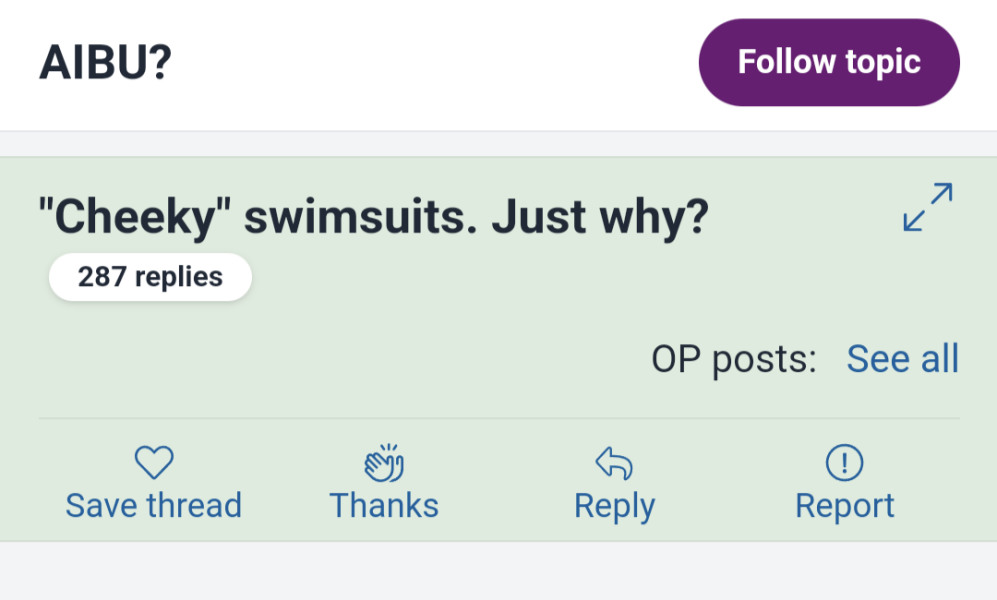 "Cheeky" swimsuits. Just why?