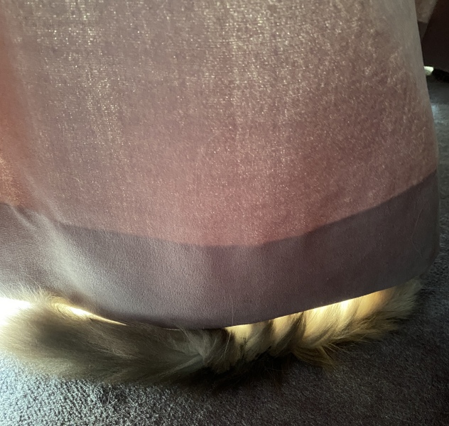 To tell my cat he is insane