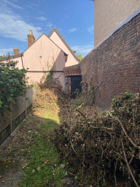 Landlord destroyed the garden