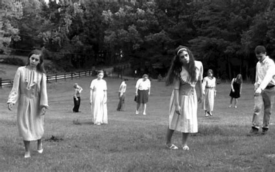 Neighbours Indiana Jones-ing their way into our garden