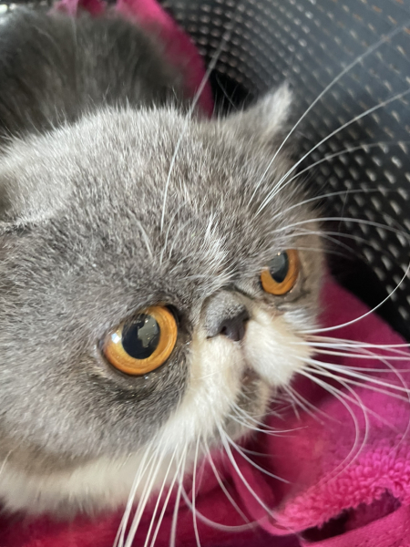 Potential new inmate at Toddler Towers.