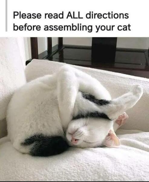I'm in bed with COVID and utterly miserable. Can I see pics of your pets/favourite memes or favourite jokes?
