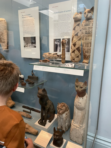Further Adventures of the Excellent Cats