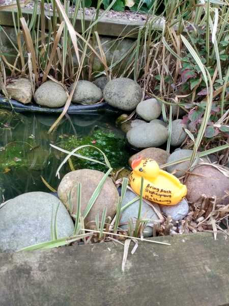 The Mucky Mallard's Visit to Stratford upon Avon