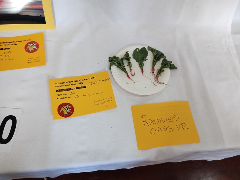 Village food competition