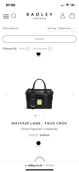 Handbag for a 21st birthday £100 budget?