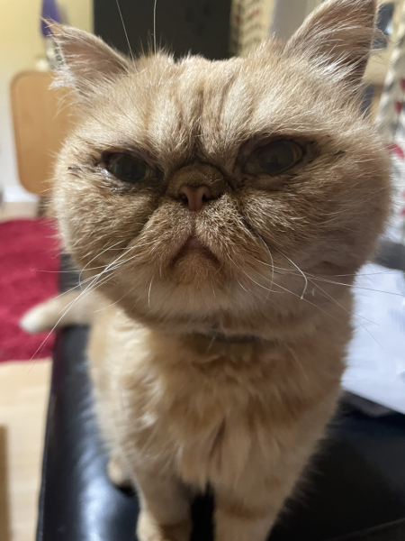 Potential new inmate at Toddler Towers.