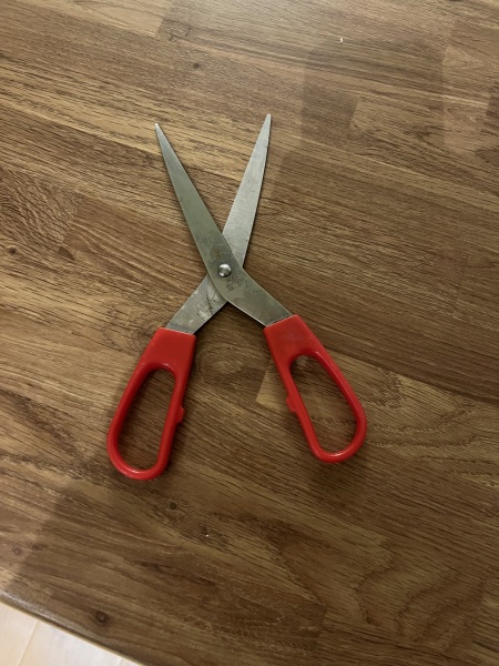 Neighbours Indiana Jones-ing their way into our garden