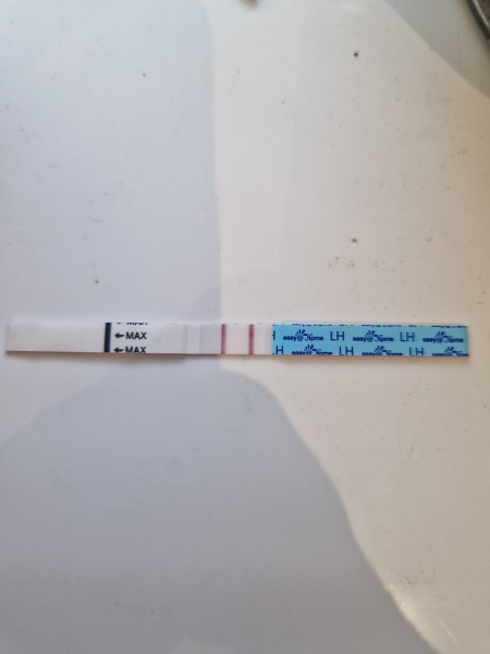 Surely this is a positive ovulation test?!
