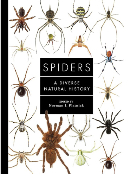 To wonder about DNA testing of house spiders in isolated old buildings