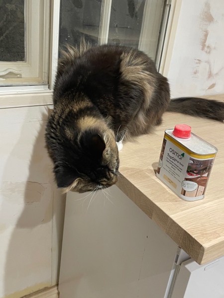 Come and tell me your dull and unexciting news 26: Calmly through the day 