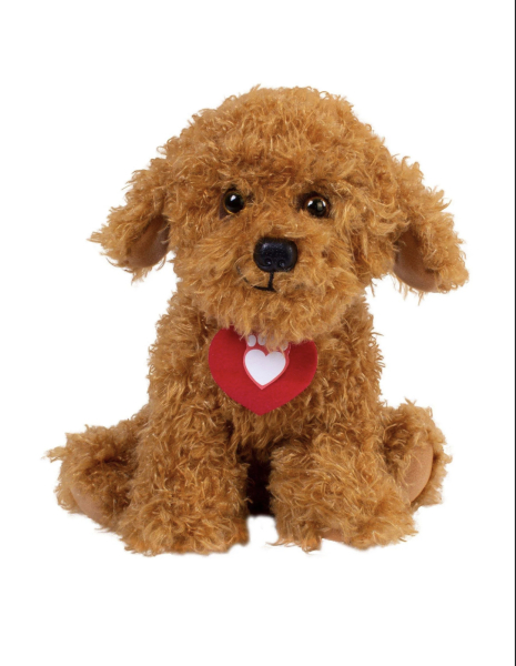 To search for a small dog that can be left alone during the day?
