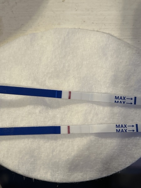 BBTing our way to a BFP in September 🎉 cont.