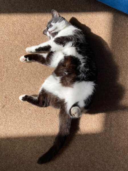 Thread 10 - TalkLair: “The candle flame gutters. Its little pool of light trembles.”