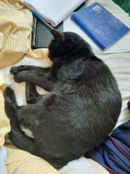 Thread 10 - TalkLair: “The candle flame gutters. Its little pool of light trembles.”