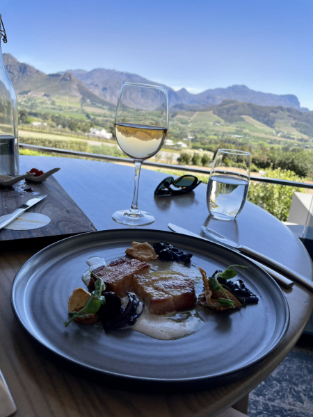 Week 3 - Back-to-School Bootcamp - Introducing Bootcamp Light