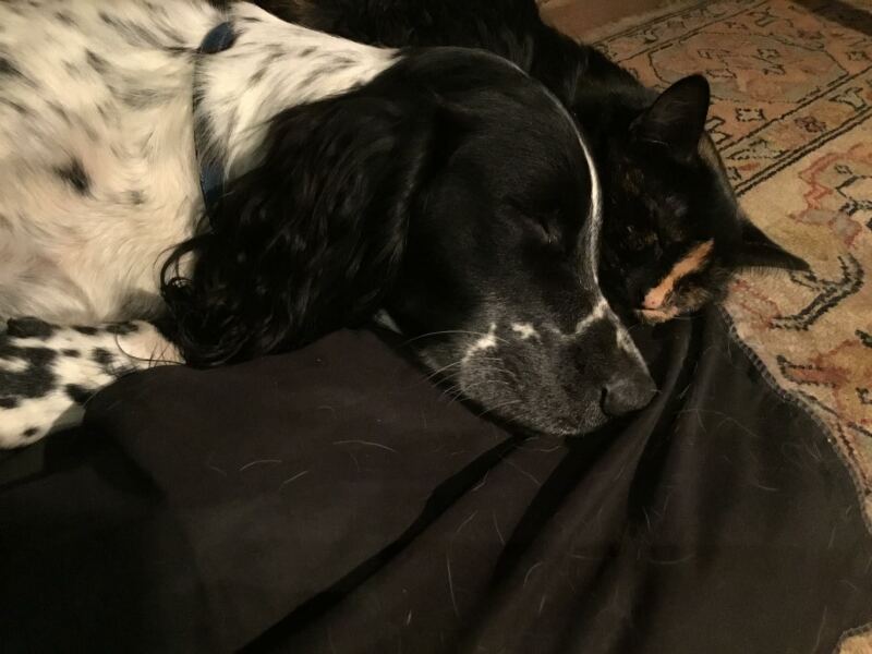 Thread 10 - TalkLair: “The candle flame gutters. Its little pool of light trembles.”