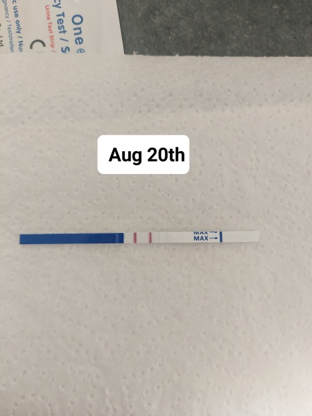 Pregnancy after MC
