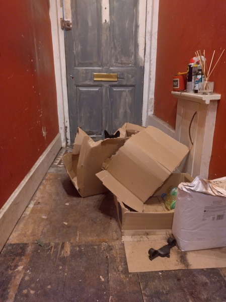 Further Adventures of the Excellent Cats